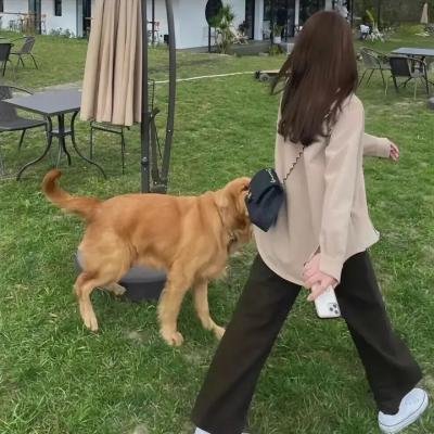 生命之血